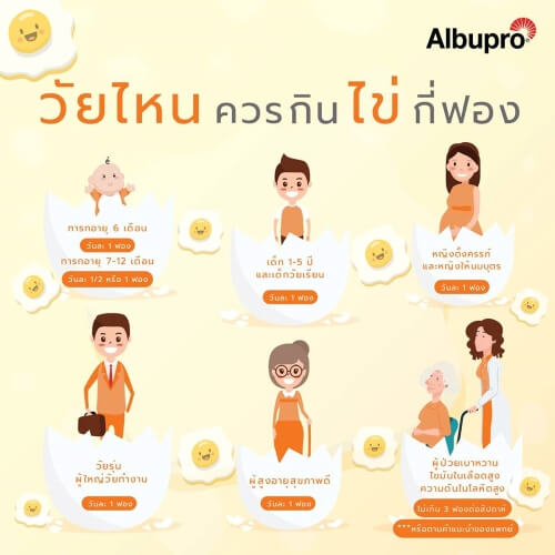 ไข่ขาว 1 ฟอง กี่กรัม